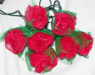 Rose fairy lights_sml.jpg